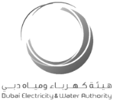 dubai_electrique & water authority